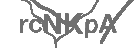 CAPTCHA Image